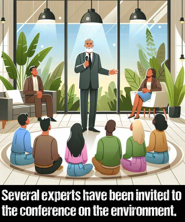 been: Several experts have been invited to the conference on the environment.
