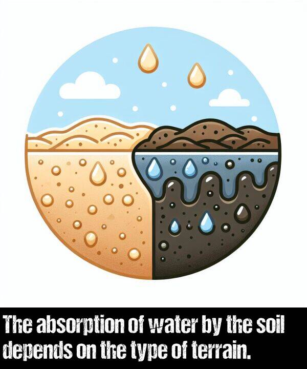 absorption: The absorption of water by the soil depends on the type of terrain.