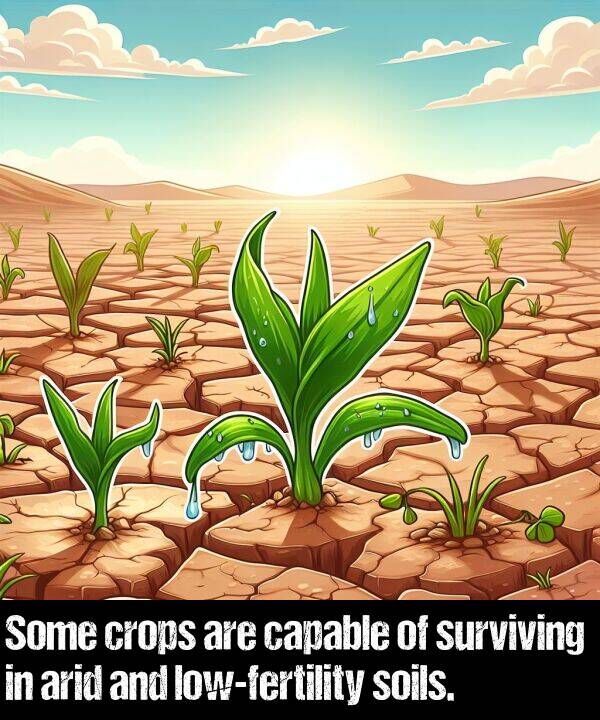 capable: Some crops are capable of surviving in arid and low-fertility soils.