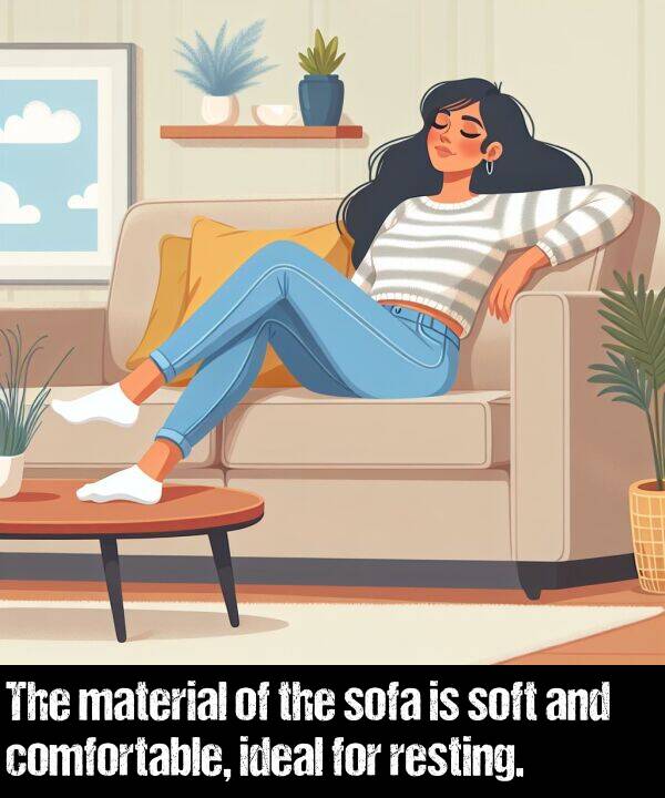 comfortable: The material of the sofa is soft and comfortable, ideal for resting.