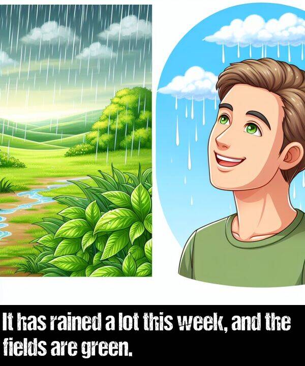 lot: It has rained a lot this week, and the fields are green.