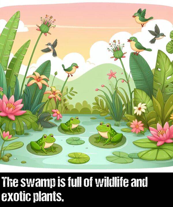 wildlife: The swamp is full of wildlife and exotic plants.