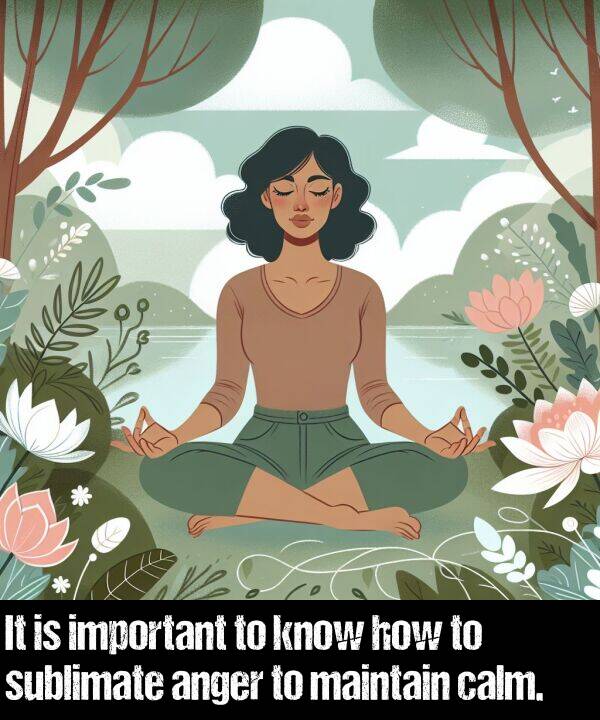 how: It is important to know how to sublimate anger to maintain calm.