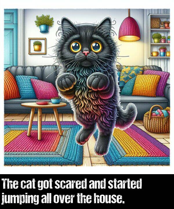 cat: The cat got scared and started jumping all over the house.