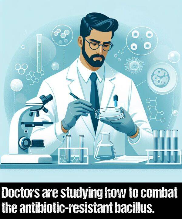 bacillus: Doctors are studying how to combat the antibiotic-resistant bacillus.