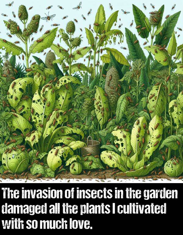 damaged: The invasion of insects in the garden damaged all the plants I cultivated with so much love.