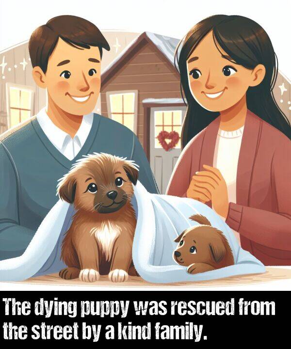 kind: The dying puppy was rescued from the street by a kind family.