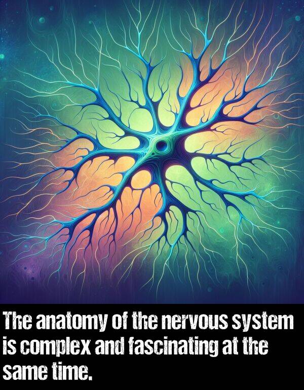 same: The anatomy of the nervous system is complex and fascinating at the same time.