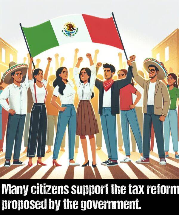 government: Many citizens support the tax reform proposed by the government.