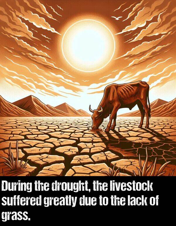 lack: During the drought, the livestock suffered greatly due to the lack of grass.