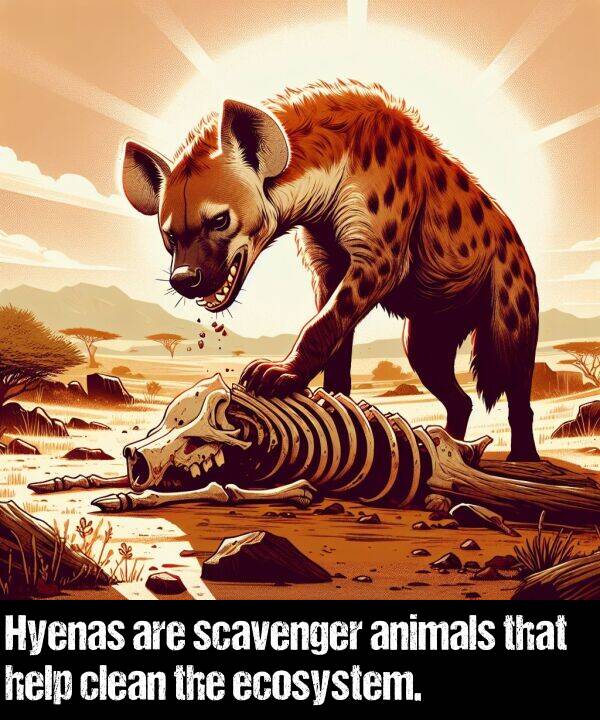 help: Hyenas are scavenger animals that help clean the ecosystem.
