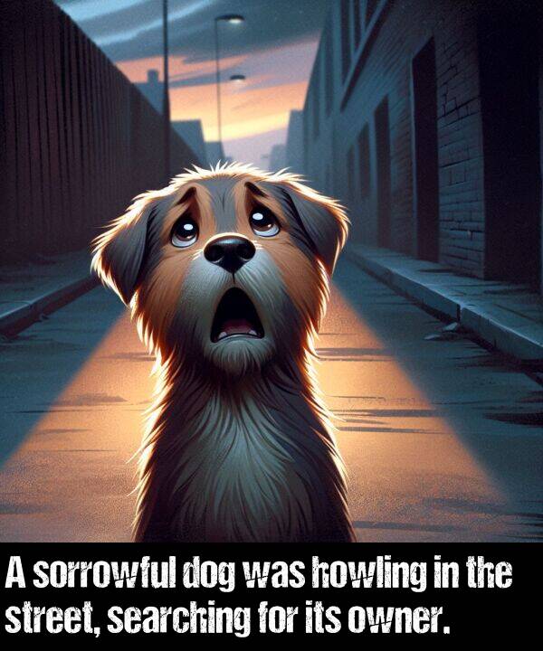 searching: A sorrowful dog was howling in the street, searching for its owner.