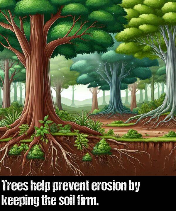 keeping: Trees help prevent erosion by keeping the soil firm.