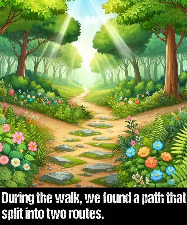 path: During the walk, we found a path that split into two routes.