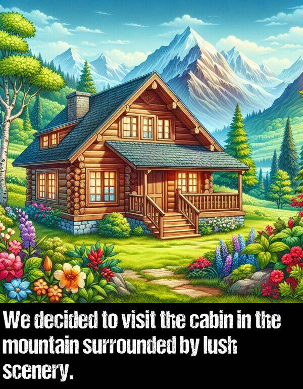 lush: We decided to visit the cabin in the mountain surrounded by lush scenery.