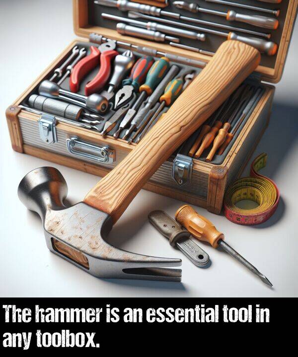 hammer: The hammer is an essential tool in any toolbox.