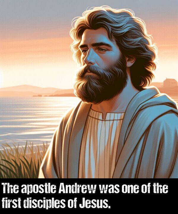 one: The apostle Andrew was one of the first disciples of Jesus.