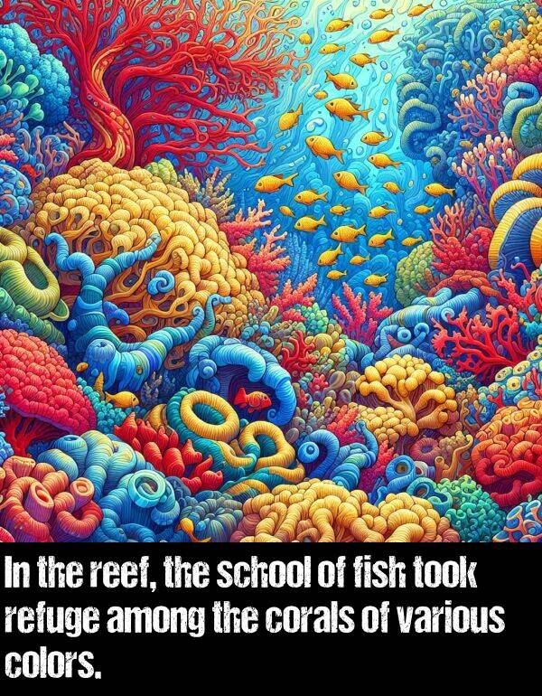 various: In the reef, the school of fish took refuge among the corals of various colors.