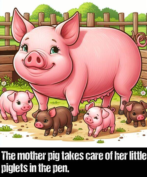 takes: The mother pig takes care of her little piglets in the pen.