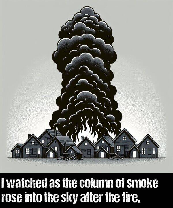 watched: I watched as the column of smoke rose into the sky after the fire.