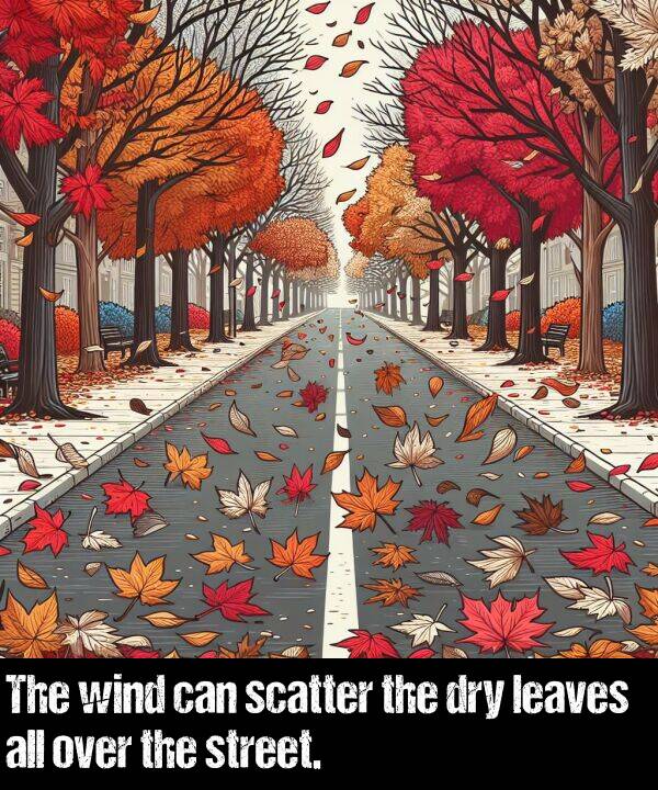 can: The wind can scatter the dry leaves all over the street.