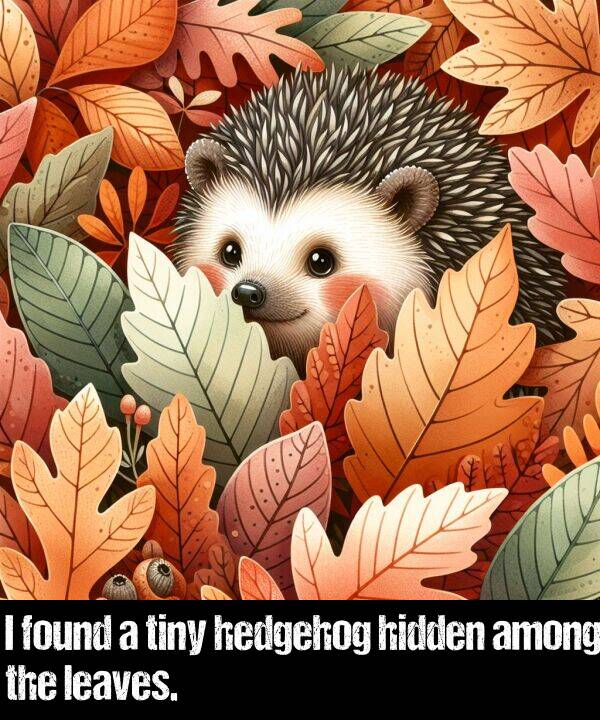 found: I found a tiny hedgehog hidden among the leaves.