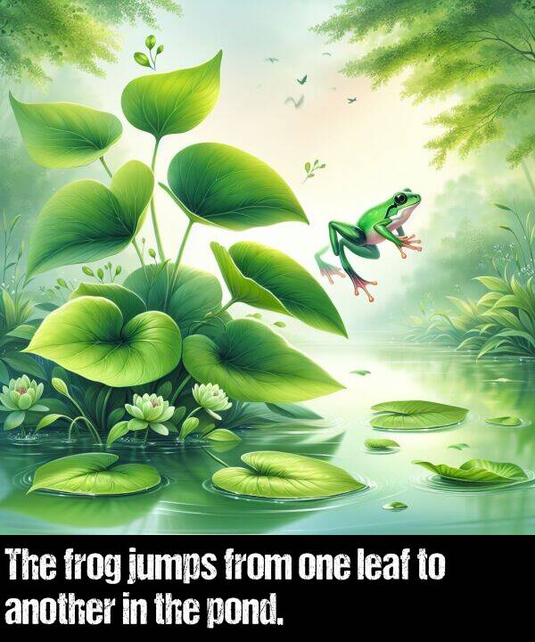 leaf: The frog jumps from one leaf to another in the pond.