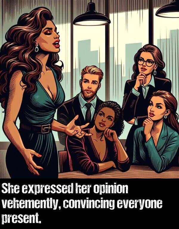 opinion: She expressed her opinion vehemently, convincing everyone present.