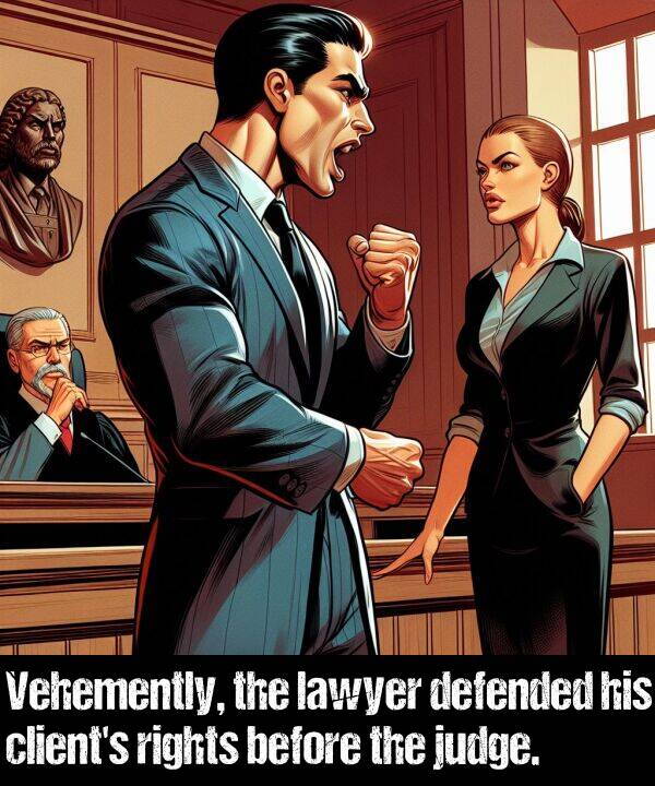 lawyer: Vehemently, the lawyer defended his client's rights before the judge.