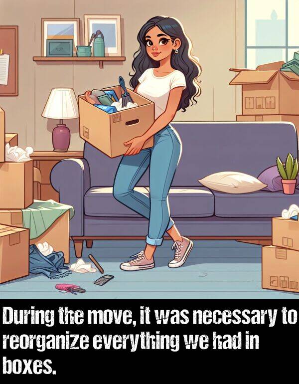 boxes: During the move, it was necessary to reorganize everything we had in boxes.