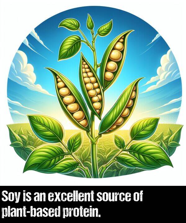 excellent: Soy is an excellent source of plant-based protein.