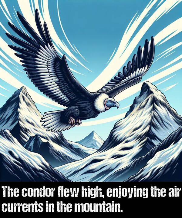mountain: The condor flew high, enjoying the air currents in the mountain.