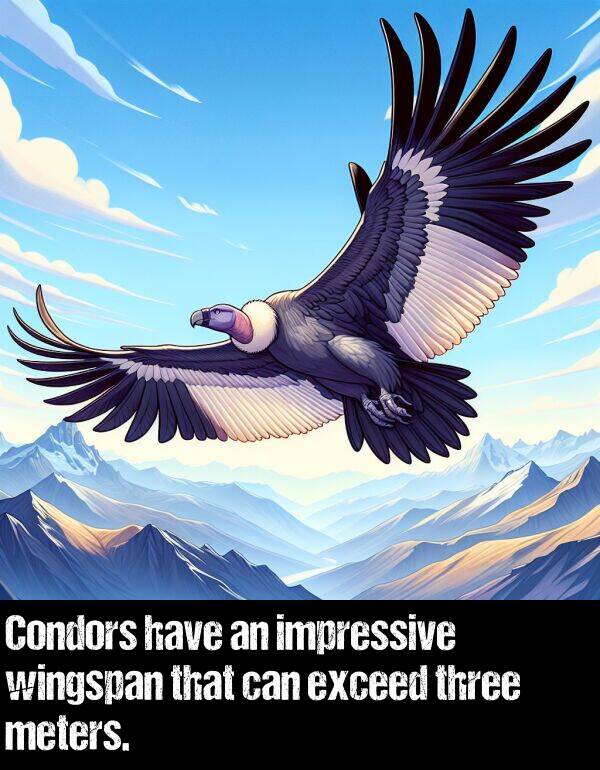 impressive: Condors have an impressive wingspan that can exceed three meters.