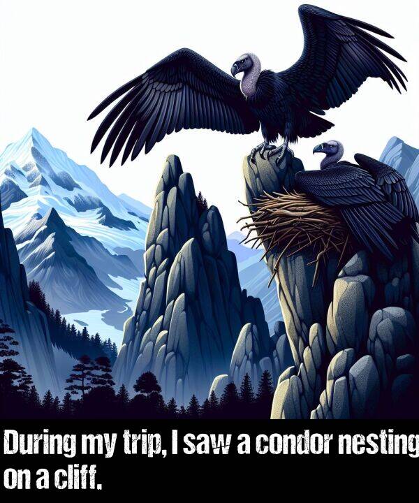 cliff: During my trip, I saw a condor nesting on a cliff.