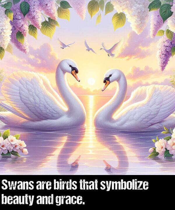 beauty: Swans are birds that symbolize beauty and grace.