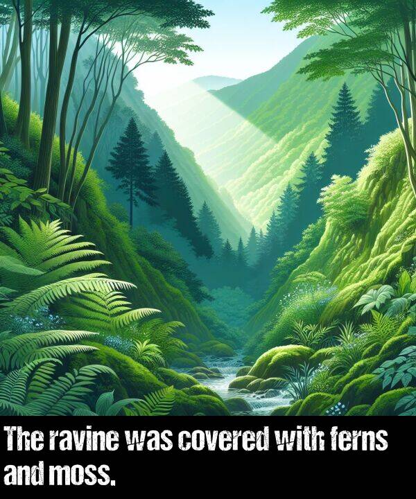 with: The ravine was covered with ferns and moss.
