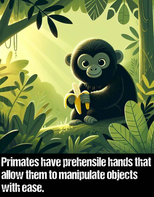 them: Primates have prehensile hands that allow them to manipulate objects with ease.
