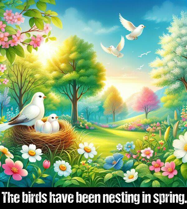 birds: The birds have been nesting in spring.