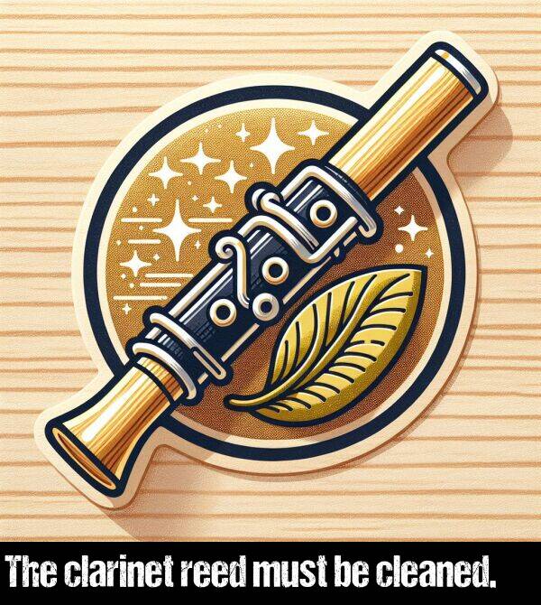 must: The clarinet reed must be cleaned.