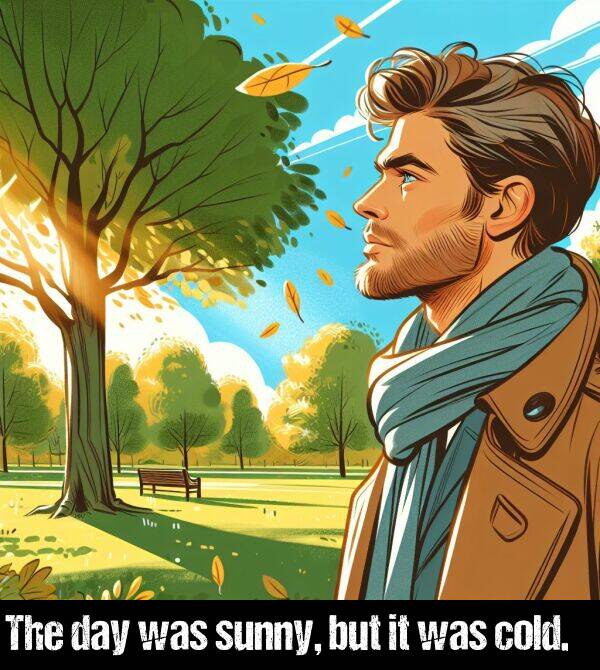 but: The day was sunny, but it was cold.