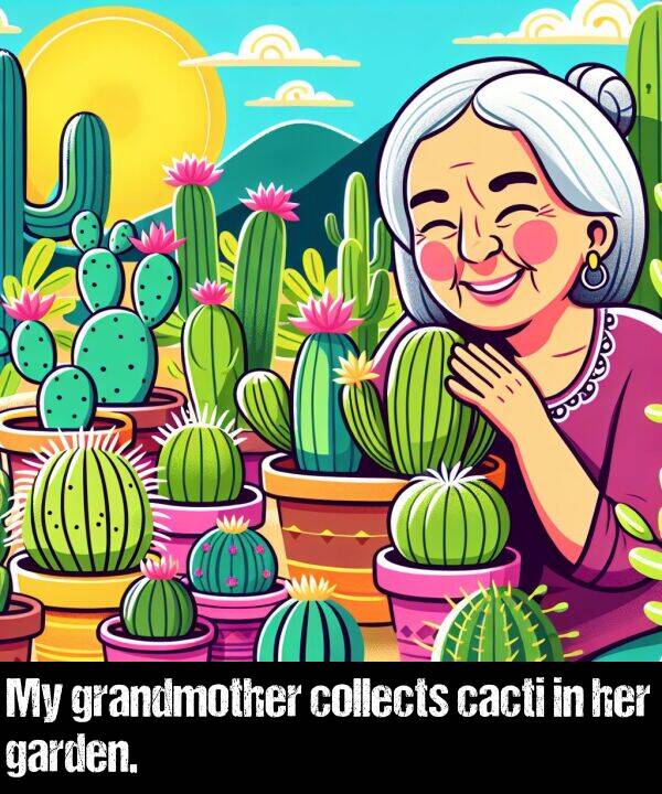 collects: My grandmother collects cacti in her garden.