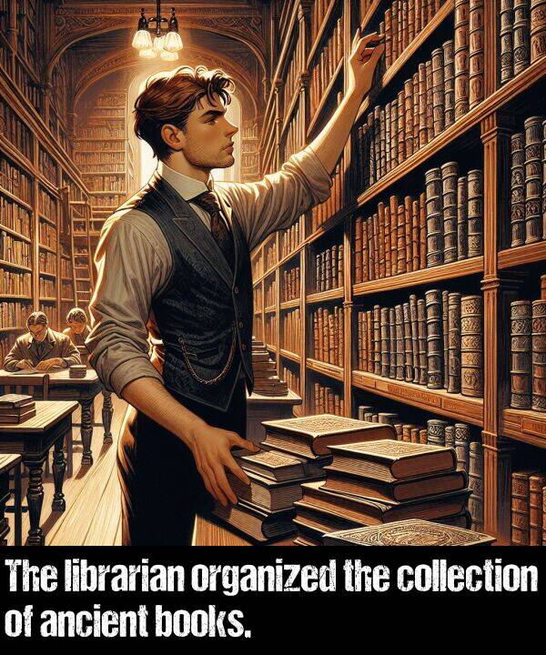 collection: The librarian organized the collection of ancient books.