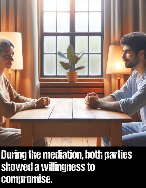 parties: During the mediation, both parties showed a willingness to compromise.