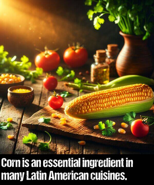 many: Corn is an essential ingredient in many Latin American cuisines.