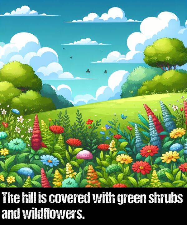 green: The hill is covered with green shrubs and wildflowers.