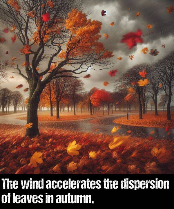 accelerates: The wind accelerates the dispersion of leaves in autumn.
