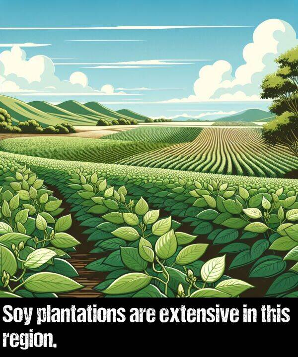 are: Soy plantations are extensive in this region.