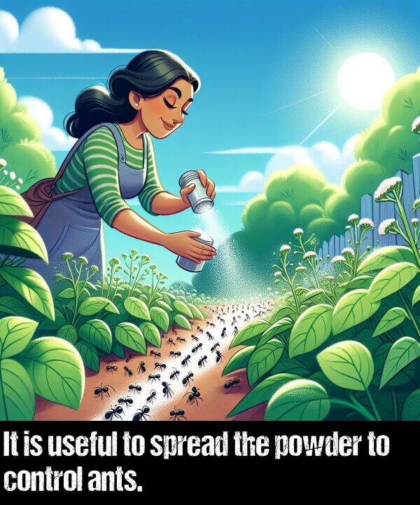useful: It is useful to spread the powder to control ants.