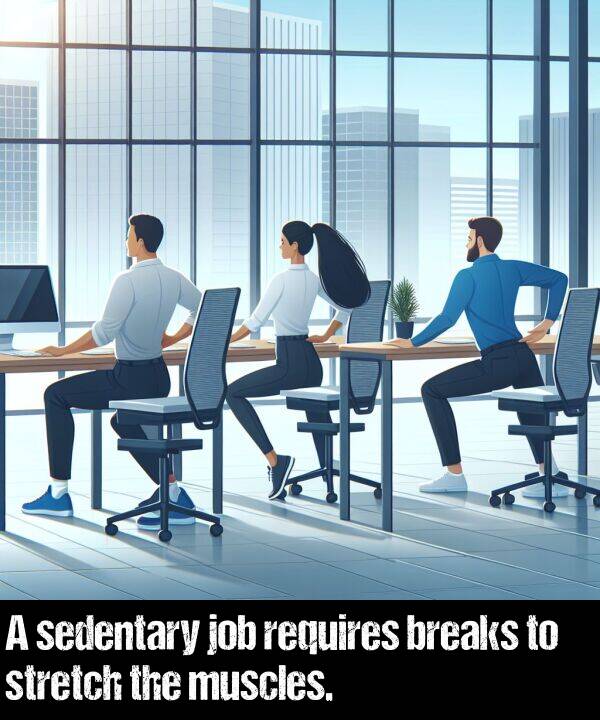 breaks: A sedentary job requires breaks to stretch the muscles.