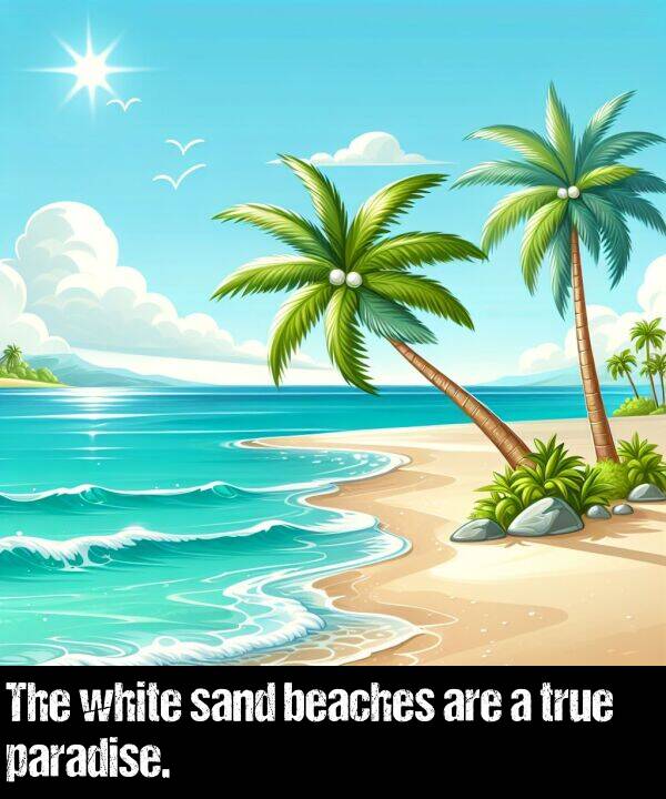 are: The white sand beaches are a true paradise.